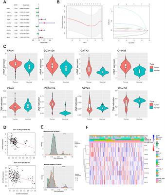 Development of a prognostic model for early-stage gastric cancer-related DNA methylation-driven genes and analysis of immune landscape